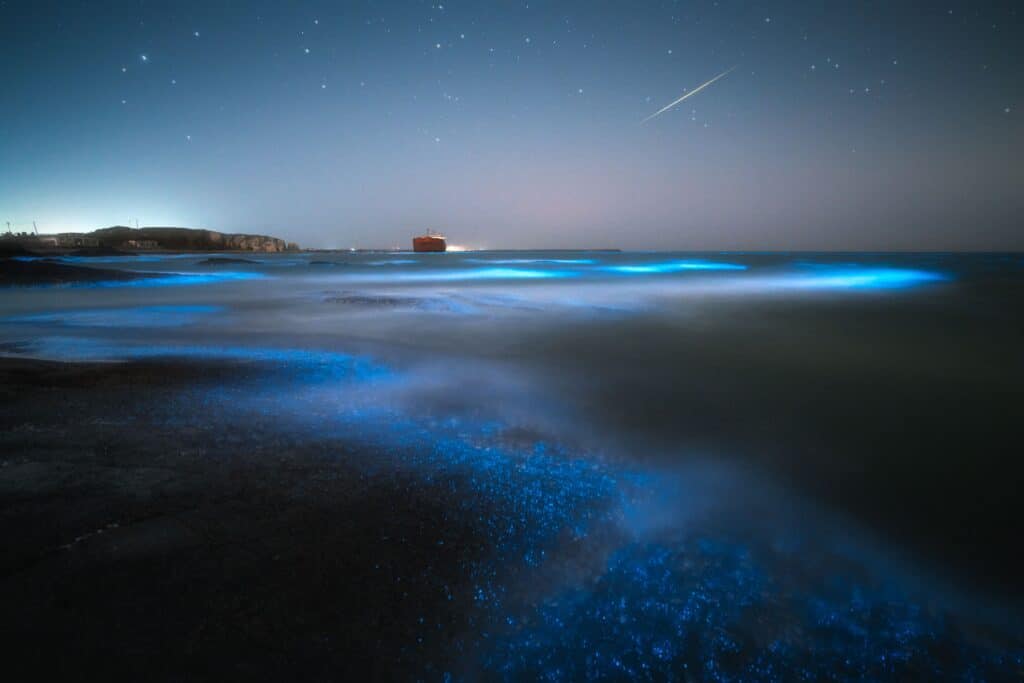 A coastal scene at night with bioluminescent blue waves, a distant ship, a shooting star, and stars visible in the sky.