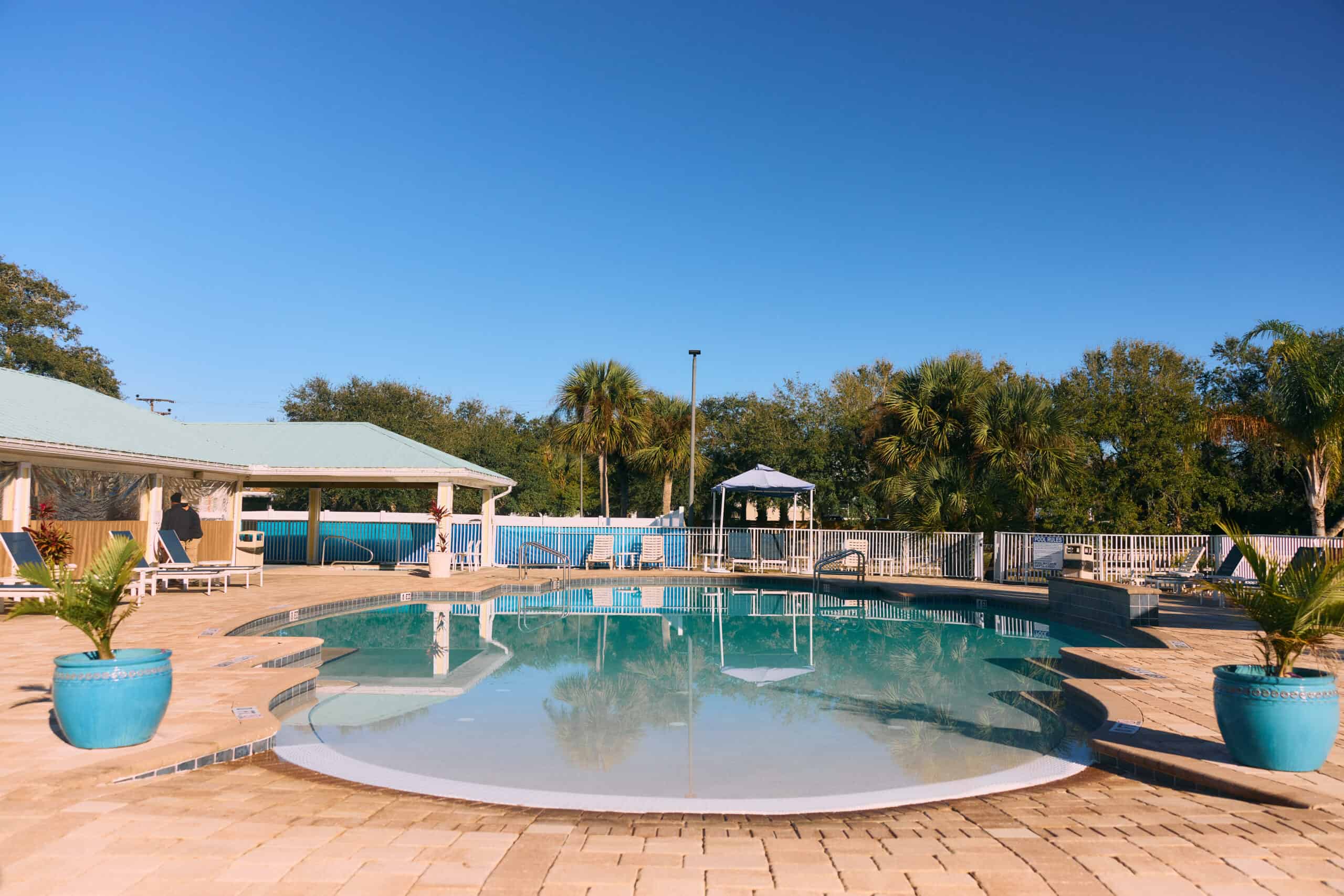 Outdoor swimming pool surrounded by palm trees, lounge chairs, blue planters, and a covered seating area under a clear blue sky.