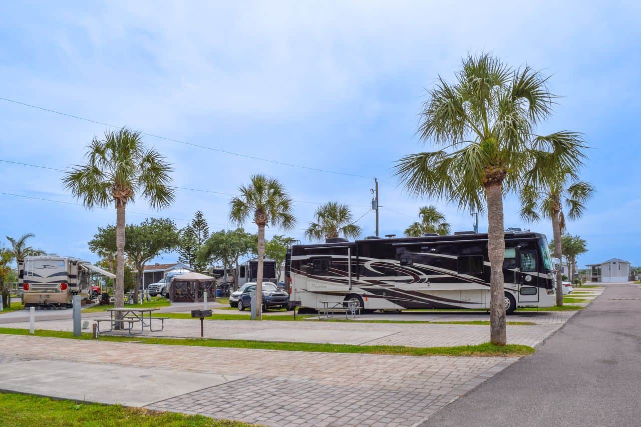 Large RVs are parked at a campground lined with palm trees, paved driveways, and grassy areas under a partly cloudy sky.