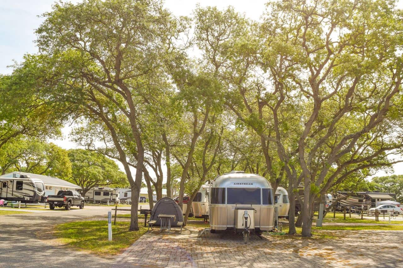 Airstream trailers and other RVs parked among large trees at a campground on a sunny day.
